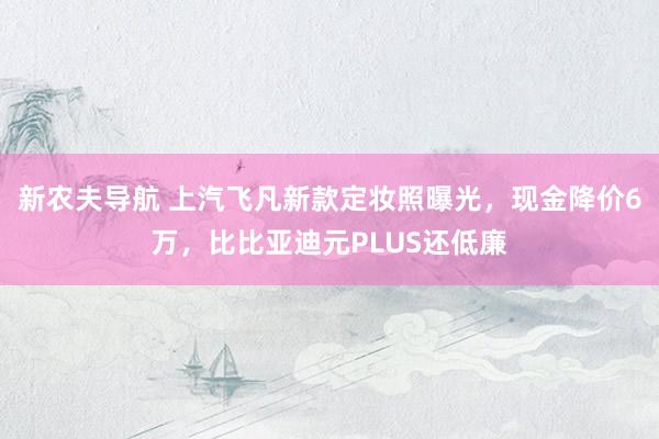 新农夫导航 上汽飞凡新款定妆照曝光，现金降价6万，比比亚迪元PLUS还低廉