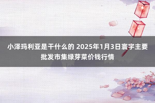 小泽玛利亚是干什么的 2025年1月3日寰宇主要批发市集绿芽菜价钱行情