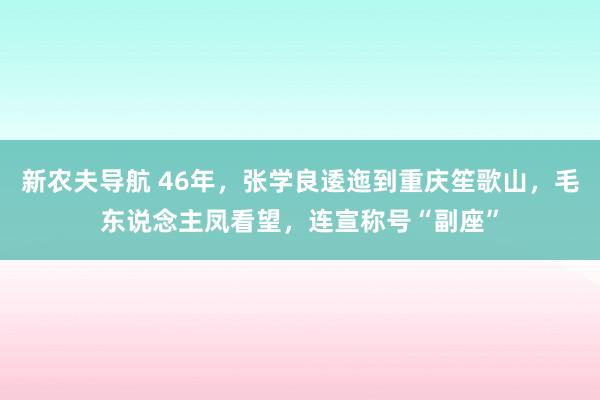 新农夫导航 46年，张学良逶迤到重庆笙歌山，毛东说念主凤看望，连宣称号“副座”