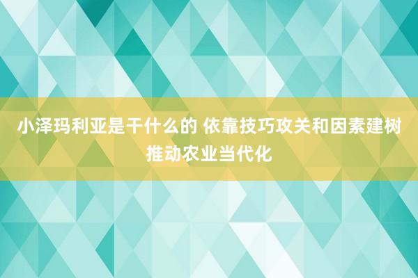 小泽玛利亚是干什么的 依靠技巧攻关和因素建树推动农业当代化