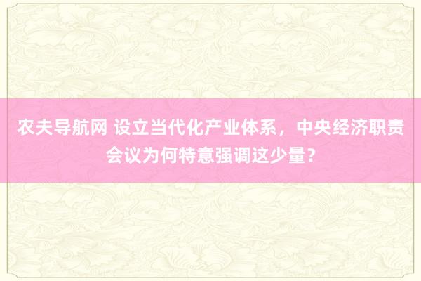 农夫导航网 设立当代化产业体系，中央经济职责会议为何特意强调这少量？