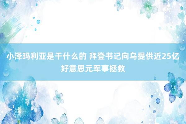 小泽玛利亚是干什么的 拜登书记向乌提供近25亿好意思元军事拯救