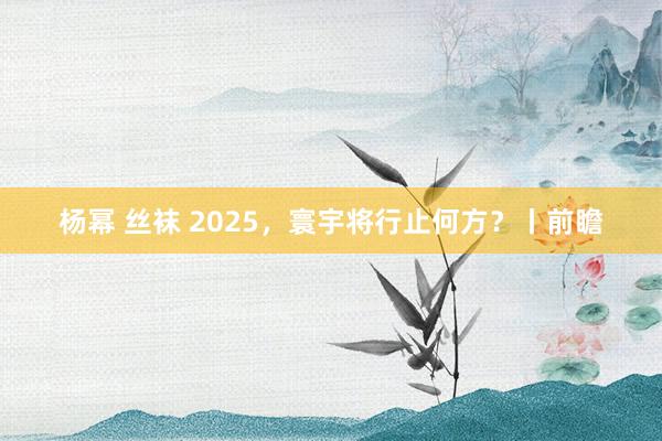 杨幂 丝袜 2025，寰宇将行止何方？丨前瞻