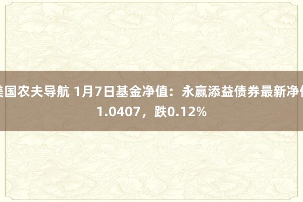 美国农夫导航 1月7日基金净值：永赢添益债券最新净值1.0407，跌0.12%