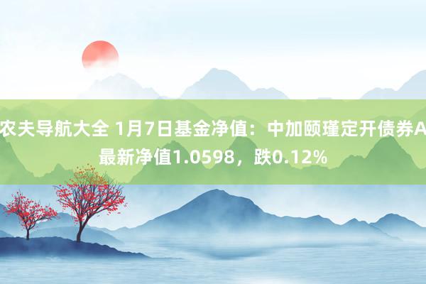 农夫导航大全 1月7日基金净值：中加颐瑾定开债券A最新净值1.0598，跌0.12%