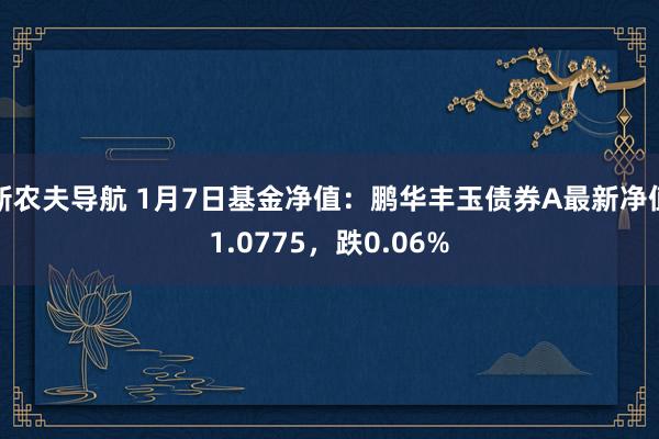 新农夫导航 1月7日基金净值：鹏华丰玉债券A最新净值1.0775，跌0.06%