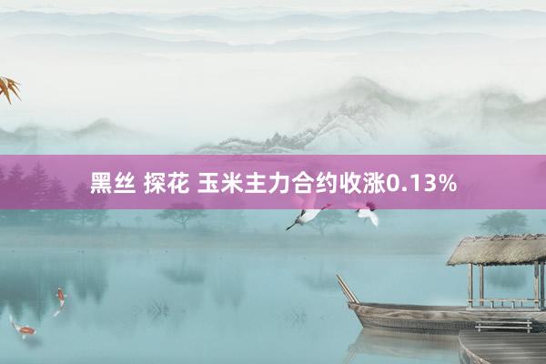 黑丝 探花 玉米主力合约收涨0.13%