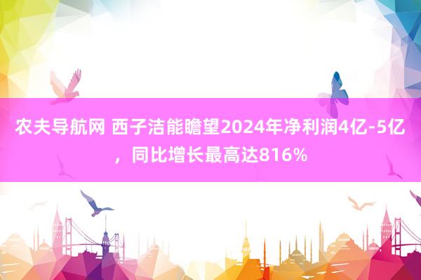 农夫导航网 西子洁能瞻望2024年净利润4亿-5亿，同比增长最高达816%