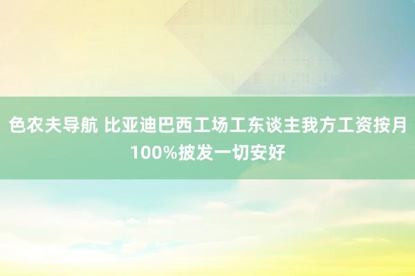 色农夫导航 比亚迪巴西工场工东谈主我方工资按月100%披发一切安好