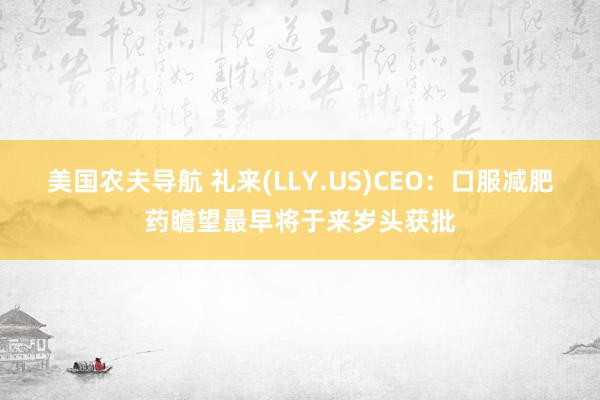 美国农夫导航 礼来(LLY.US)CEO：口服减肥药瞻望最早将于来岁头获批