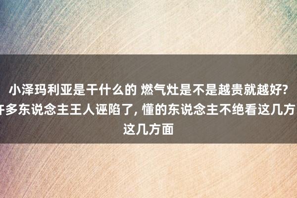 小泽玛利亚是干什么的 燃气灶是不是越贵就越好? 许多东说念主王人诬陷了， 懂的东说念主不绝看这几方面