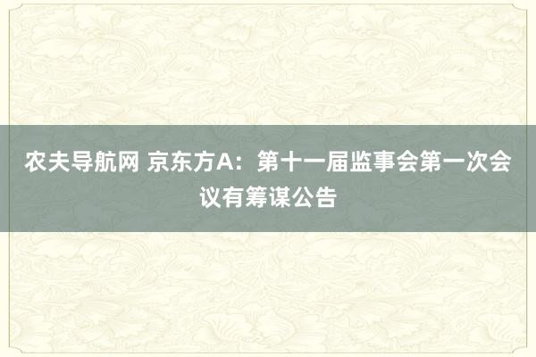 农夫导航网 京东方A：第十一届监事会第一次会议有筹谋公告