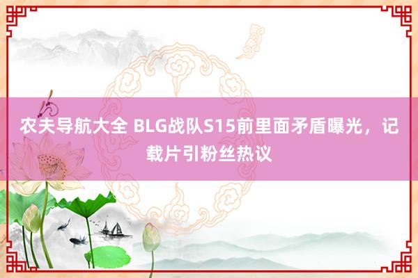 农夫导航大全 BLG战队S15前里面矛盾曝光，记载片引粉丝热议