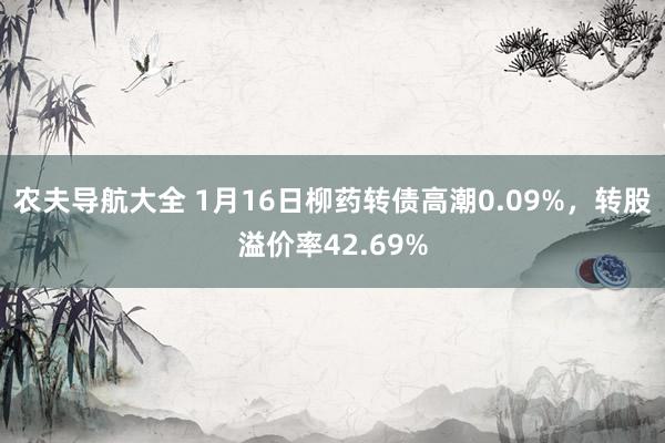 农夫导航大全 1月16日柳药转债高潮0.09%，转股溢价率42.69%