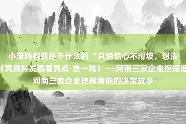 小泽玛利亚是干什么的 “只消信心不滑坡，想法总比痛苦多”（高质料发展看亮点·走一线）——河南三家企业挖掘潜能的决策故事