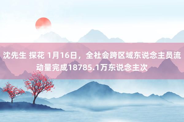 沈先生 探花 1月16日，全社会跨区域东说念主员流动量完成18785.1万东说念主次