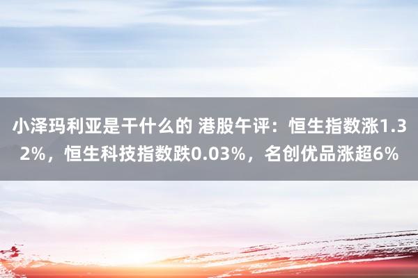 小泽玛利亚是干什么的 港股午评：恒生指数涨1.32%，恒生科技指数跌0.03%，名创优品涨超6%